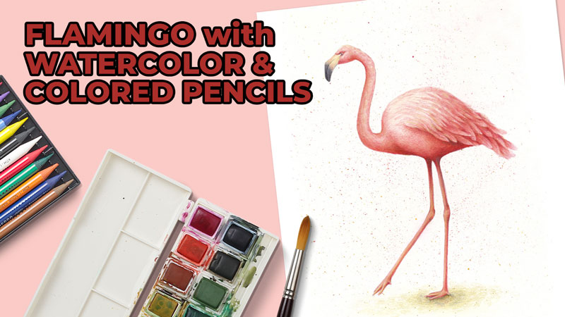 When to Color with colored Pencil and When to Color with a Pen - Art-n-Fly