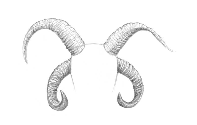 Horn Drawing Images  Drawing Skill