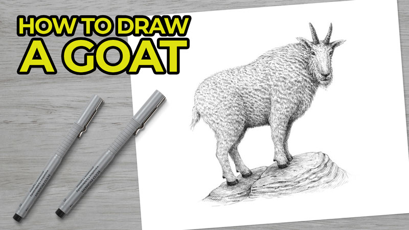 goat drawing outline