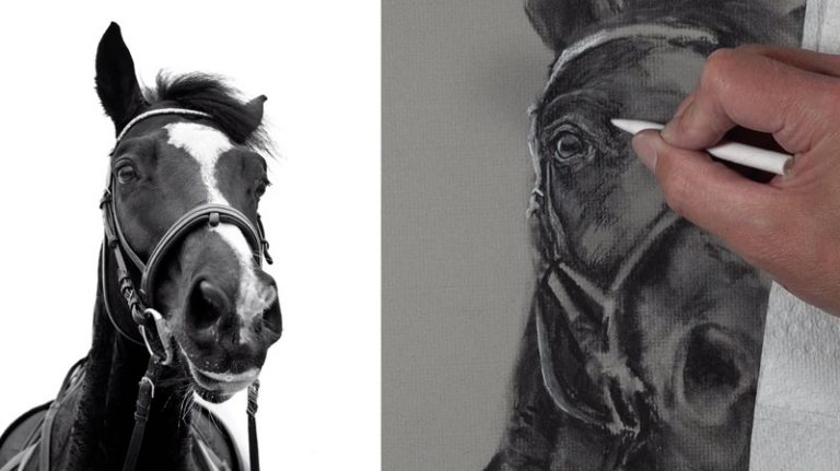 How to Draw a Horse with Charcoal