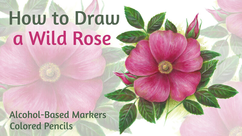 Rose Flower Coloring Page | Easy Drawing Guides