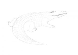 How to Draw a Crocodile with Pen and Ink