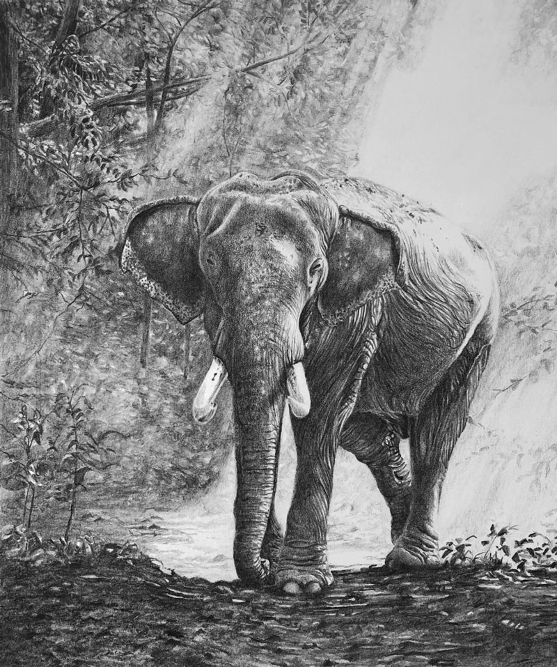 Top 87+ realistic elephant sketch - in.eteachers