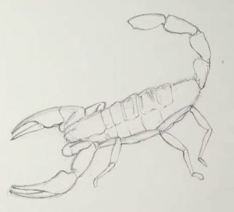 how to draw a scorpion step by step