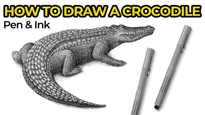 How to draw a Crocodile with pen and ink