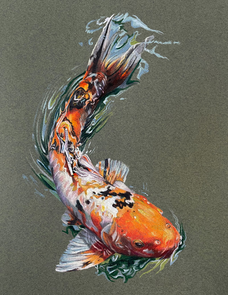 My colored pencil drawing of a koi fish (OC) : r/pics