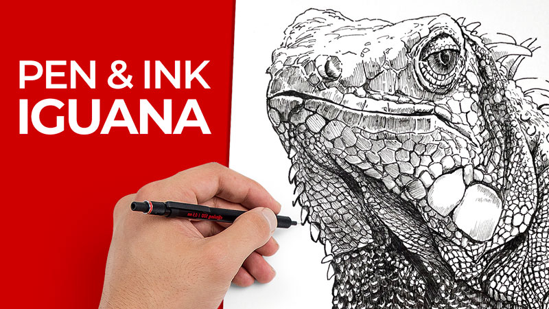 How to Draw an Iguana with Pen and Ink