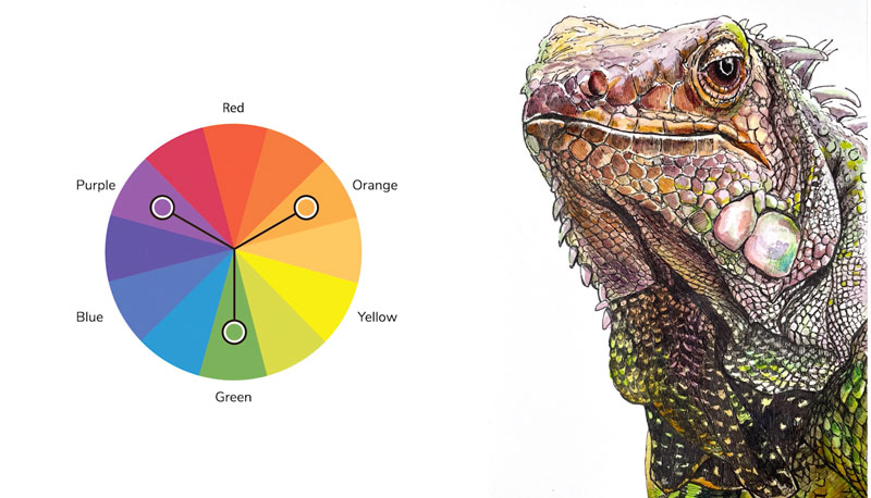 Secondary color scheme on painting of Iguana