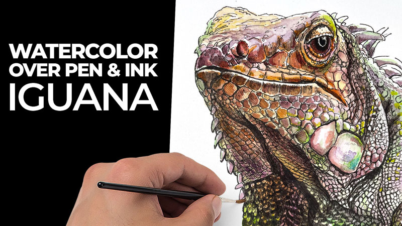 How to Paint an Iguana with Watercolor