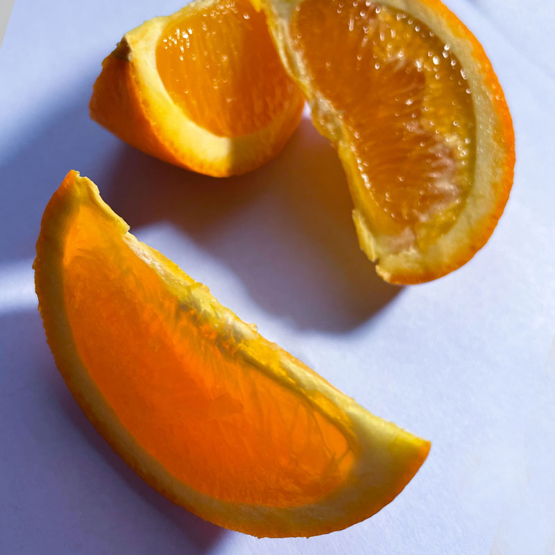 Photo reference of orange slices