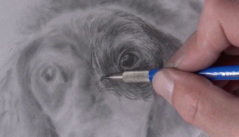 How to Use Powdered Graphite in a Drawing - LZM Studio