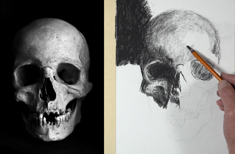 Charcoal Skull Drawing - shading the forehead
