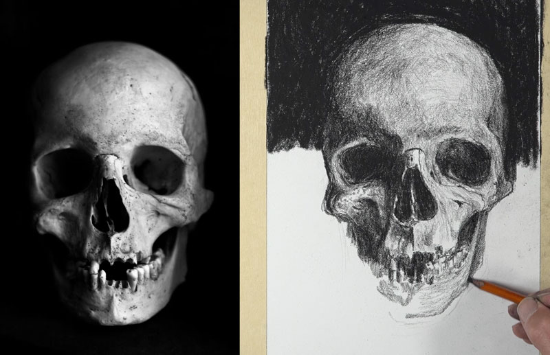 Charcoal Skull Drawing - Shading the bottom of the skull