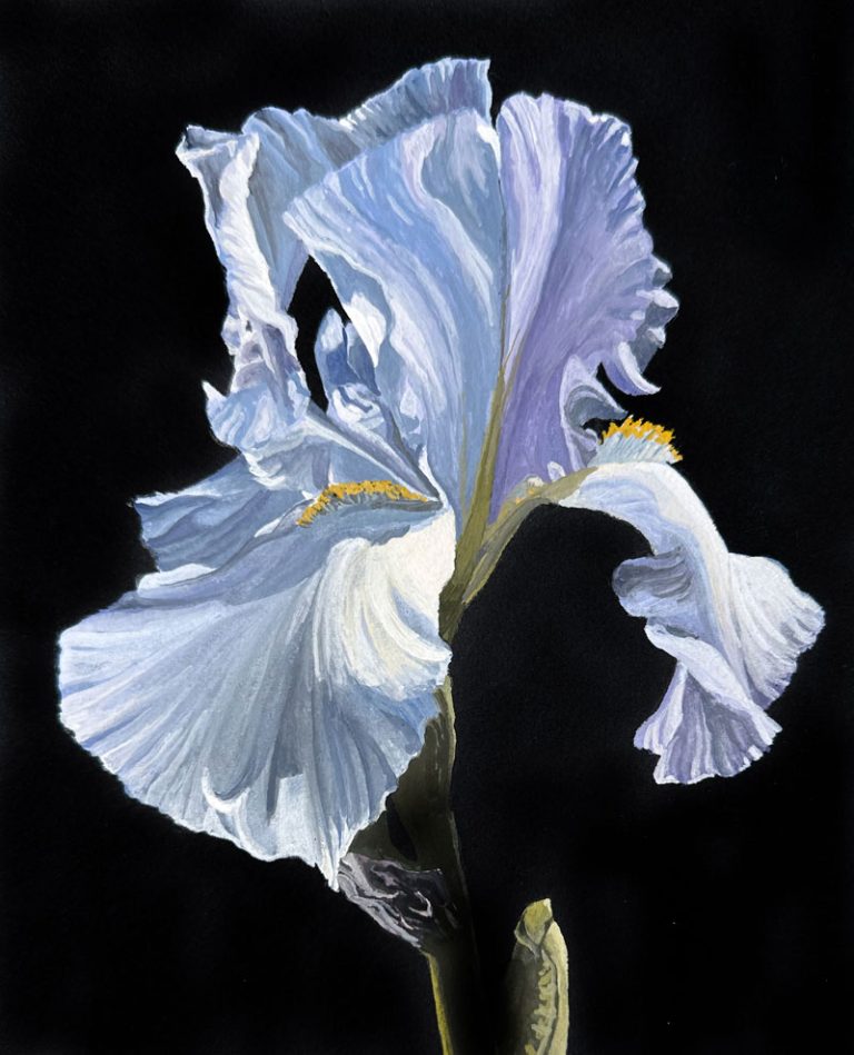 Black Watercolor Paper Painting a Flower