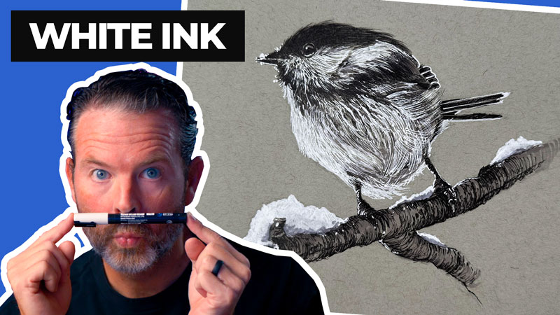 Drawing with Black and White Ink - Snow Bird