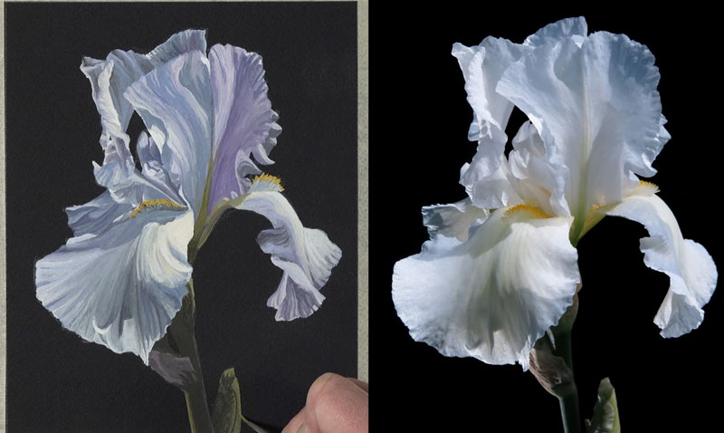 Adding highlights and shadows to the stem of the flower