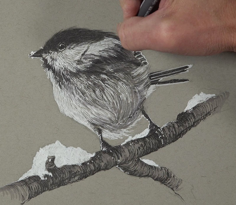 Adding feathers with pen and ink