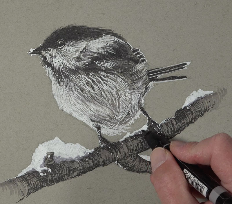 Completing the drawing of a bird with white and black ink