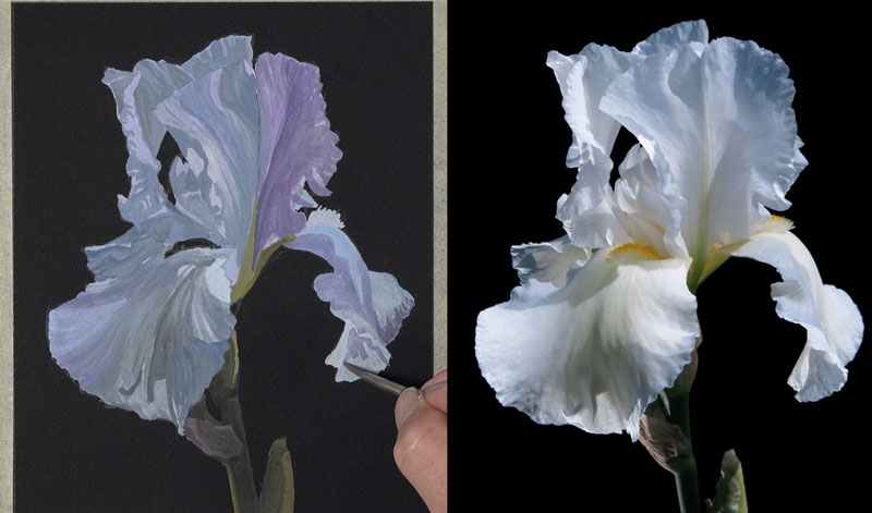 Painting details and adding shadows to the petals of the flower
