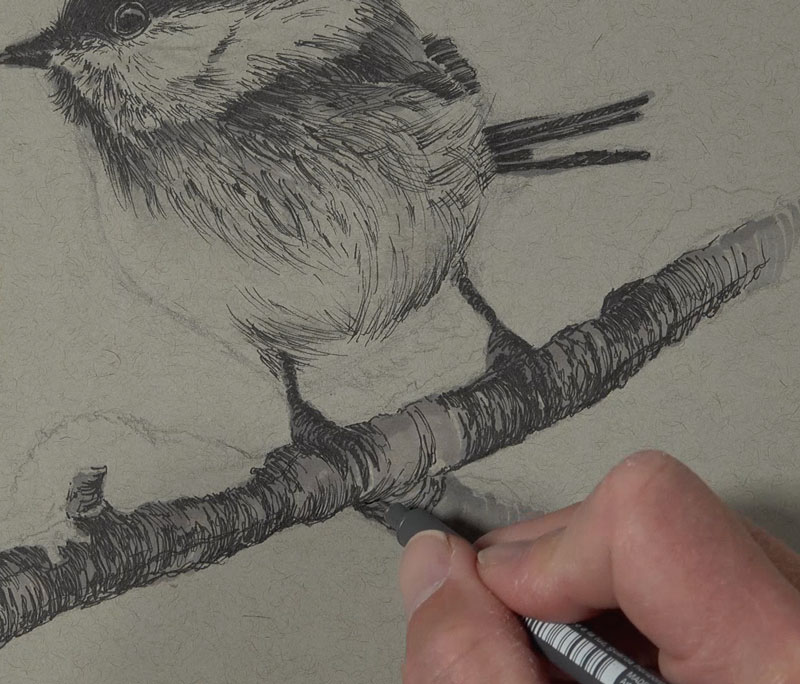 Pen and ink applications on the branch and talons of the bird