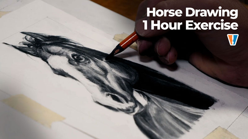 How to Sketch a Horse with Charcoal
