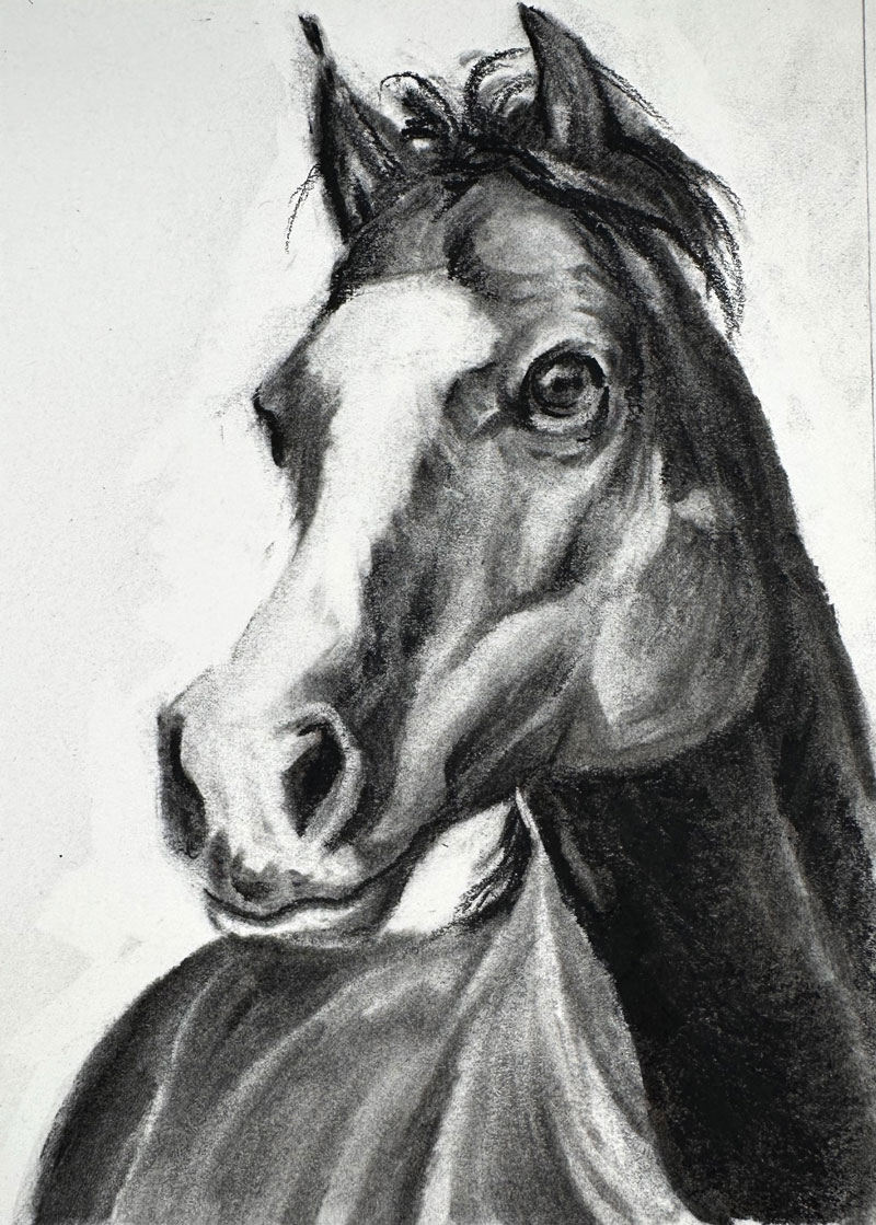 Horse Drawing with Charcoal