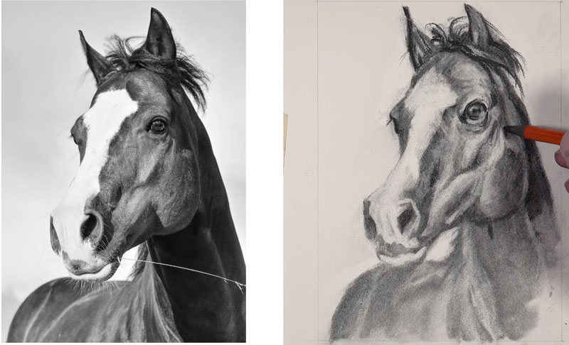 Drawing the details on the head of the horse