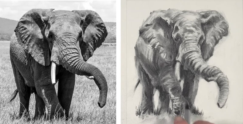 Adding details around the elephant