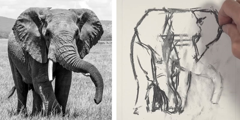 Drawing the outlines of the elephant