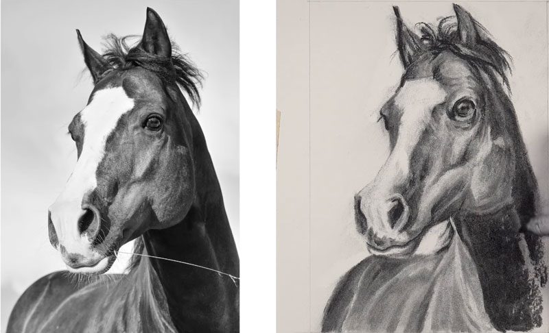 Finishing the drawing of a horse