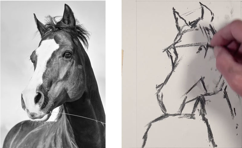 Sketching the contours of the horse