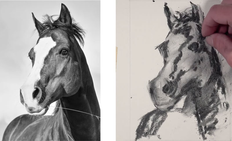 Shading the horse with charcoal