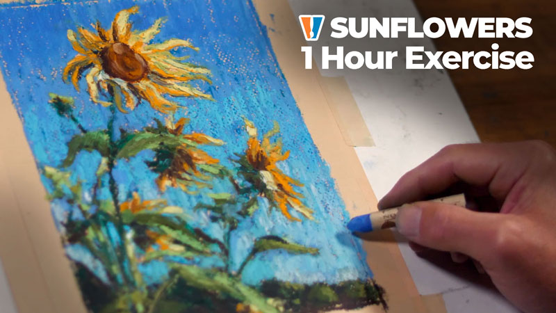 Oil Pastel Drawing - Sunflowers