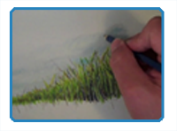 How to Draw Grass with Colored Pencils