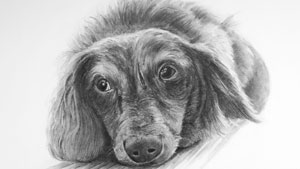 How to draw with powdered graphite