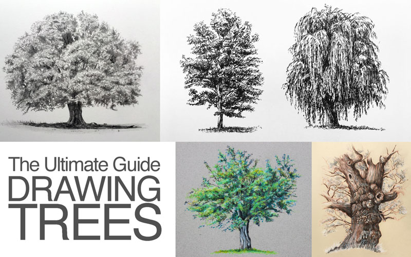 Vector Black Line Clipart Big Tree Material Tree Clipart Black And White, Tree  Drawing, Black And White Drawing, Tree Sketch PNG and Vector with  Transparent Background for Free Download