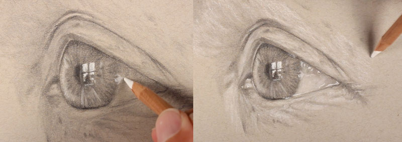 Drawing eyes from the side - step four - Highlighting the eye - side view