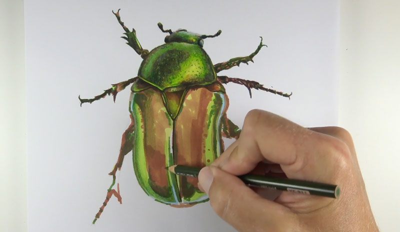 Drawing details with colored pencils
