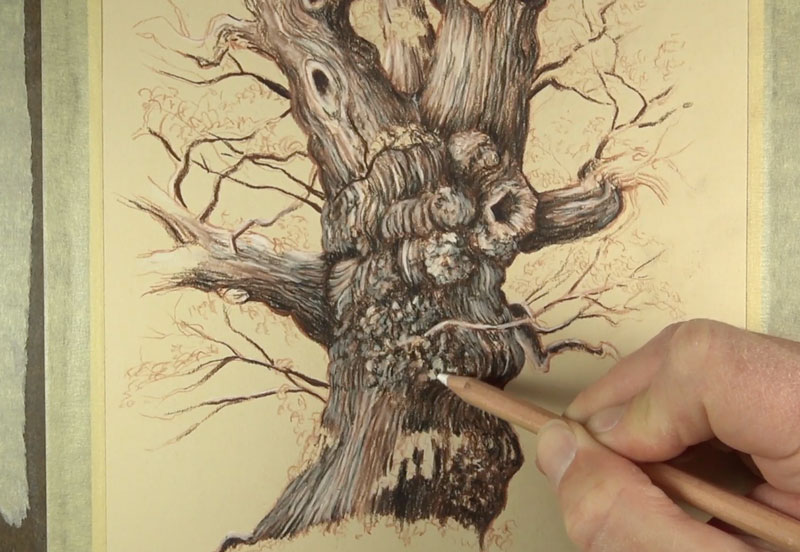 Adding highlights to the tree