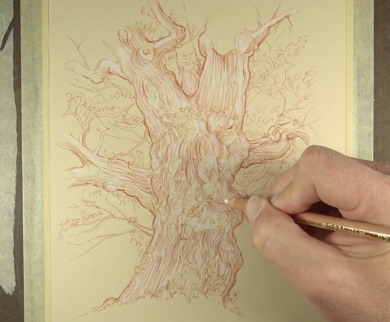Adding white charcoal to the tree