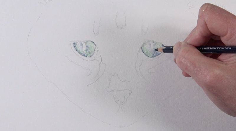 Cat eyes - adding intitial colors to the iris
