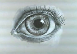 charcoal sketches of eyes