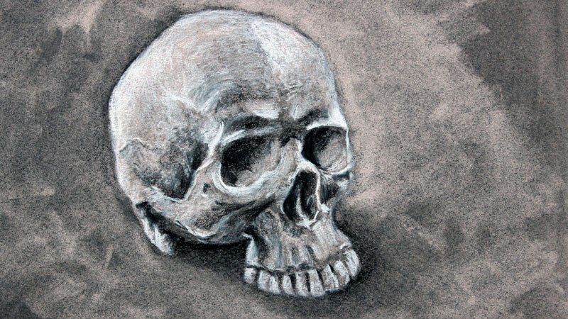 Scary Charcoal Sketch of a Fangs Skull