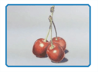 Colored Pencil Drawing Tutorial - Cherries