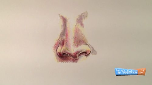 Colored Pencil Drawing The nose