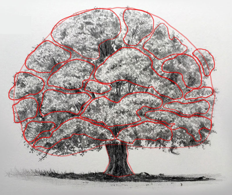 How to draw a Tree with pencil step by step  YouTube