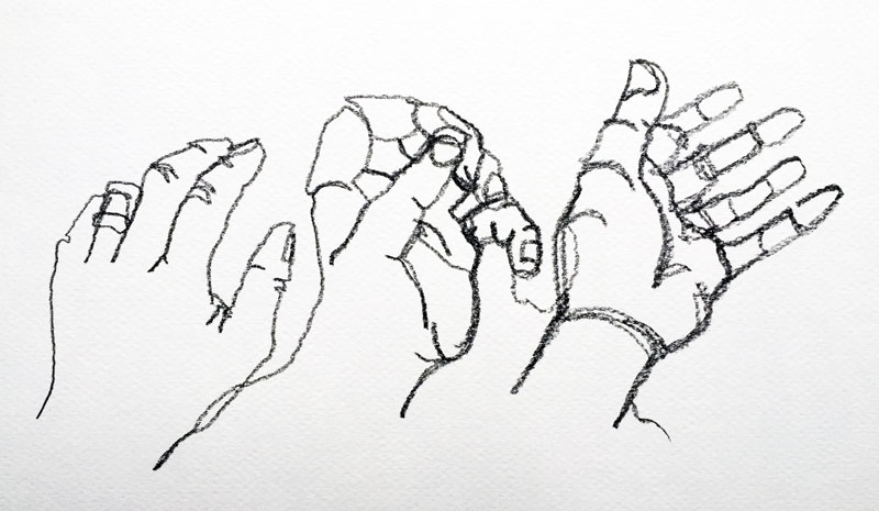 Contour Line Hands in Motion