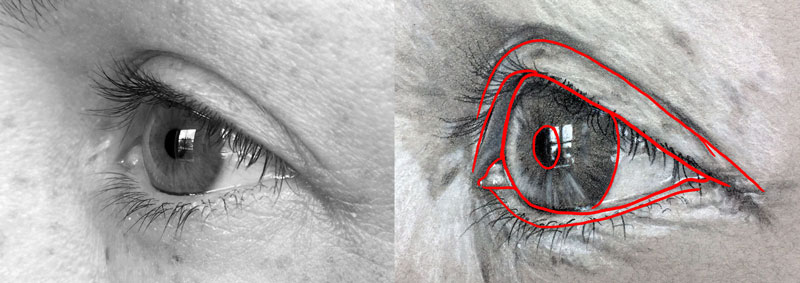How to draw an eye from profile - step two - Drawing the outlines of the eye from a side view