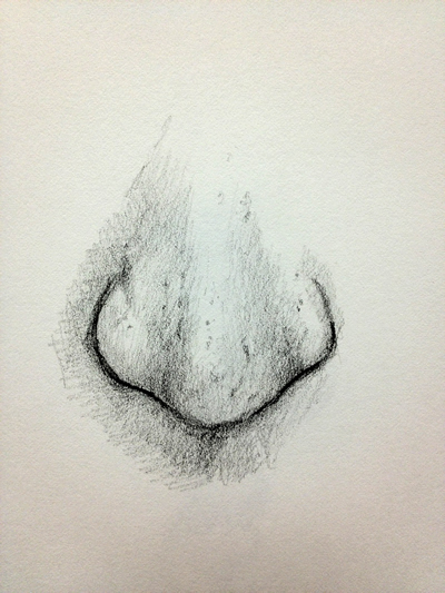 Pencil drawing of a nose