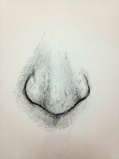 pencils on drawn academic drawing of male nose Stock Photo by vvoennyy